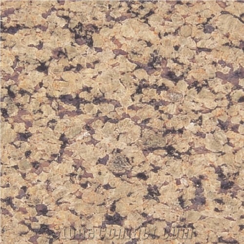 Raniwara Yellow Granite Tile