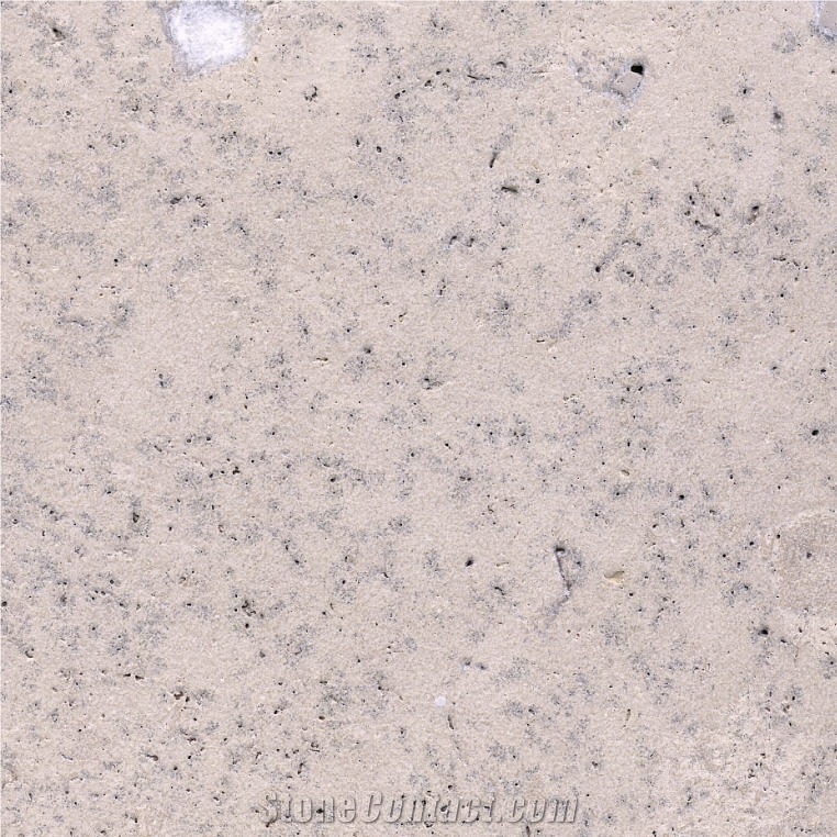 Rattle Skin Travertine Tile