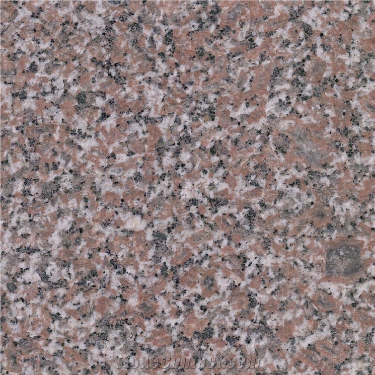 Red Laizhou importance=