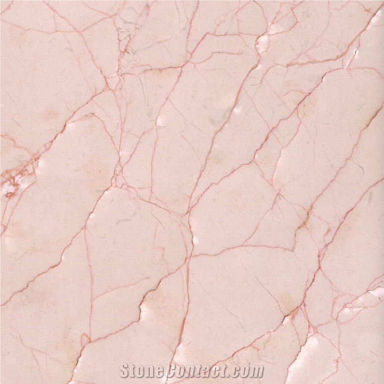 Red Line Shanna Marble importance=