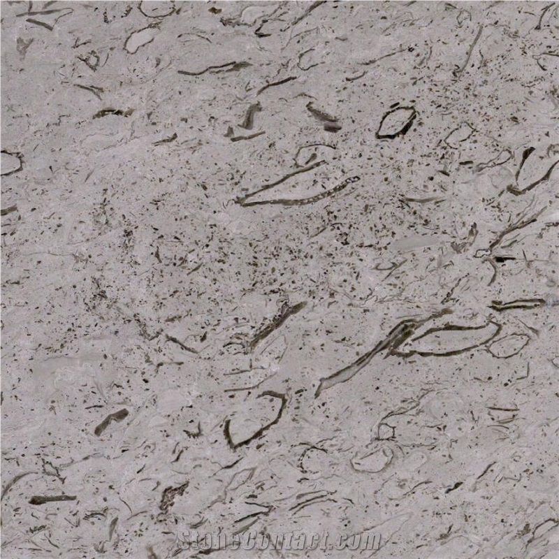 Repen Classico Limestone Tile