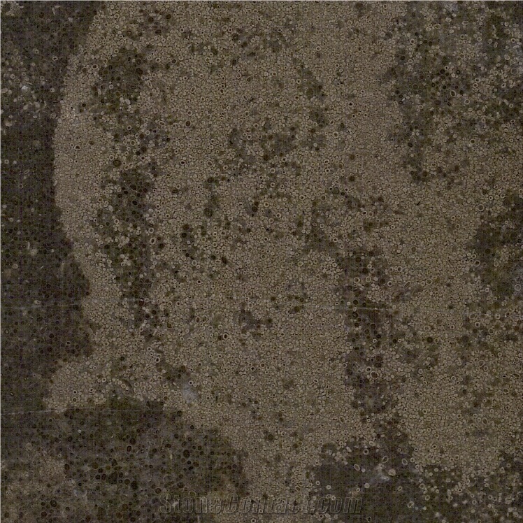 Roaming Brown Marble Tile