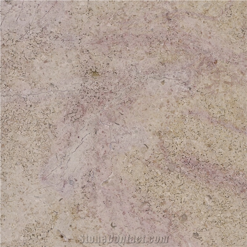 Rocherons Dore Limestone Tile