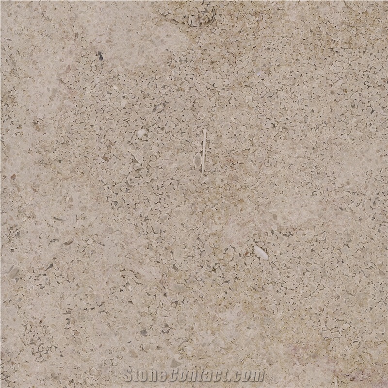 Rocherons Dore Limestone Tile