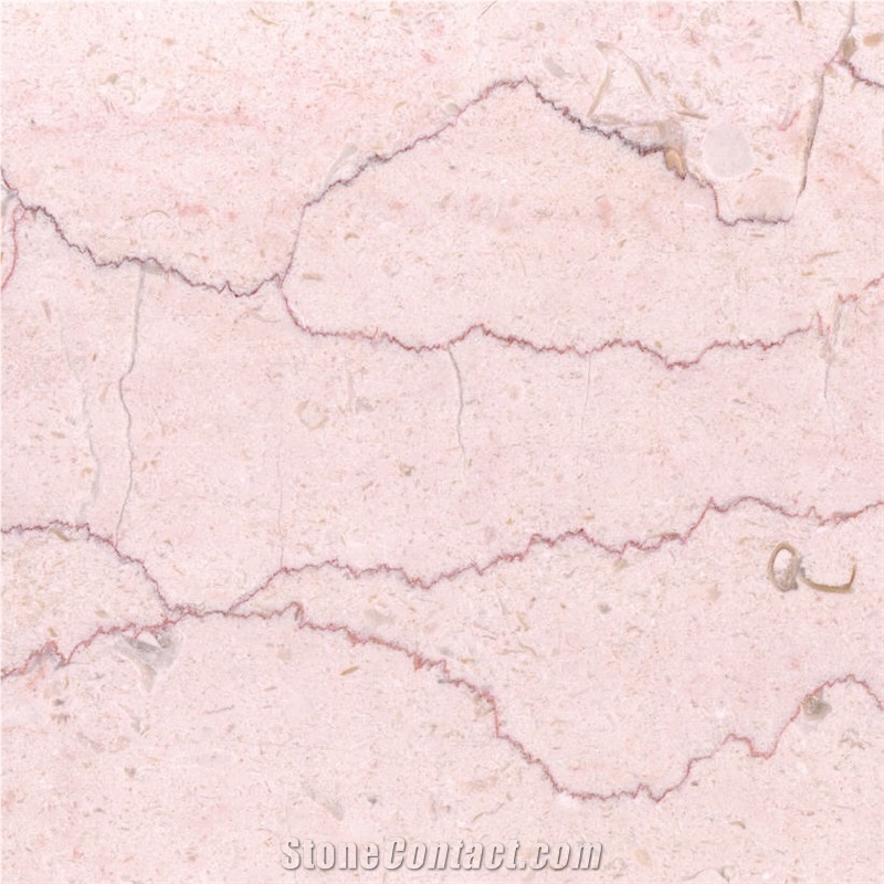 Rosetta Vena Marble importance=