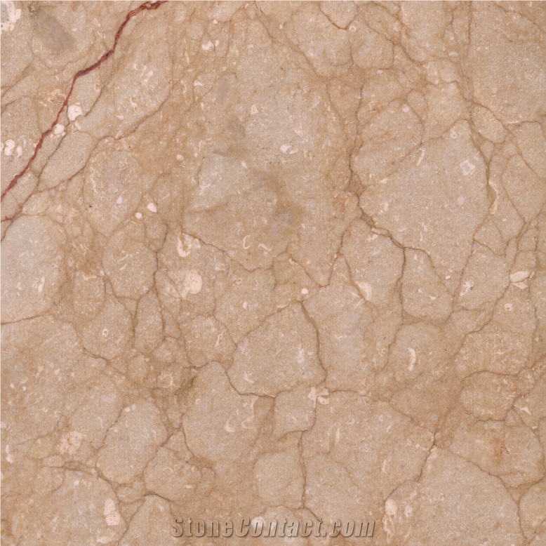 Royal Amber Beige Marble importance=