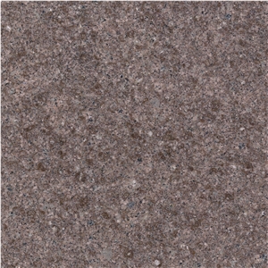 Royal Champagne Granite