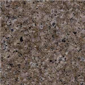 Royal Champagne Granite Tile