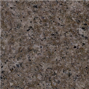 Royal Champagne Granite Tile
