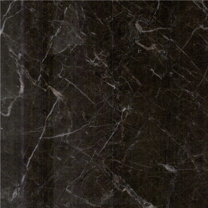 Royal Gold Emperador Tile