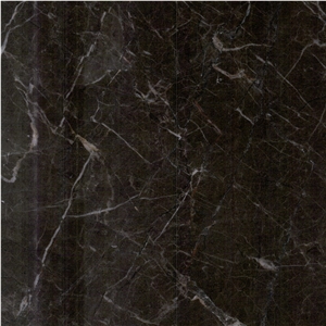 Royal Gold Emperador Tile