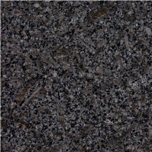 Royal Pearl Brown Tile