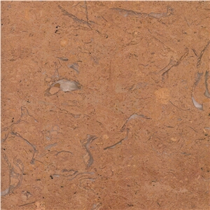 Saina Gold Limestone