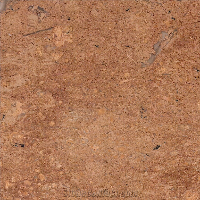 Saina Gold Limestone Tile