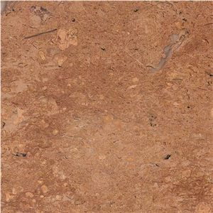 Saina Gold Limestone Tile
