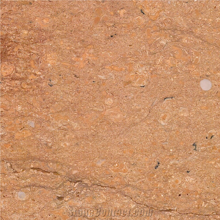 Saina Gold Limestone Tile