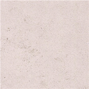 Saint Leu Limestone