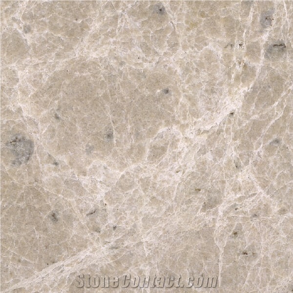 Samina Beige Marble importance=
