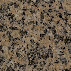 Sandal Gold Granite Tile