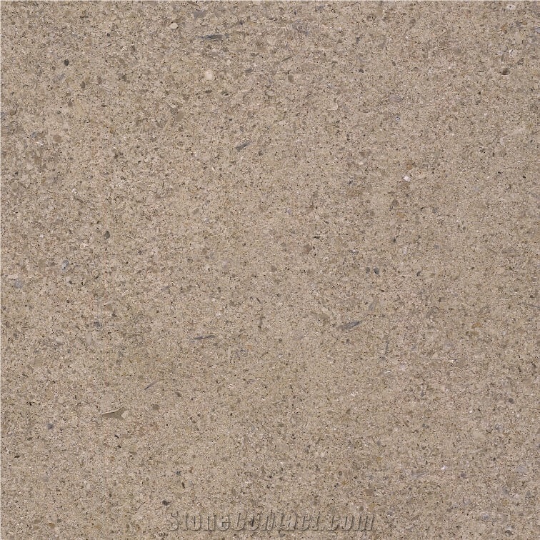 Sandy P Limestone importance=