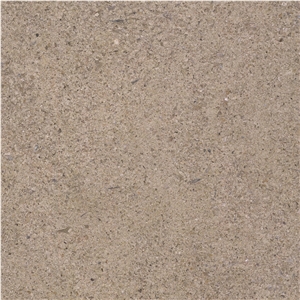 Sandy P Limestone