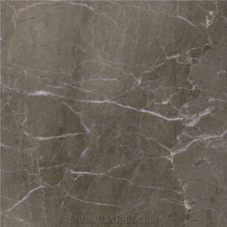 Sania Dark Grey Marble importance=