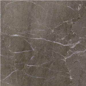 Sania Dark Grey Marble