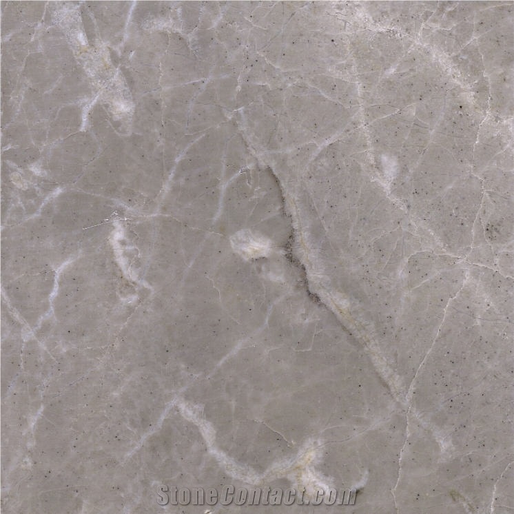 Sania Grey Marble importance=