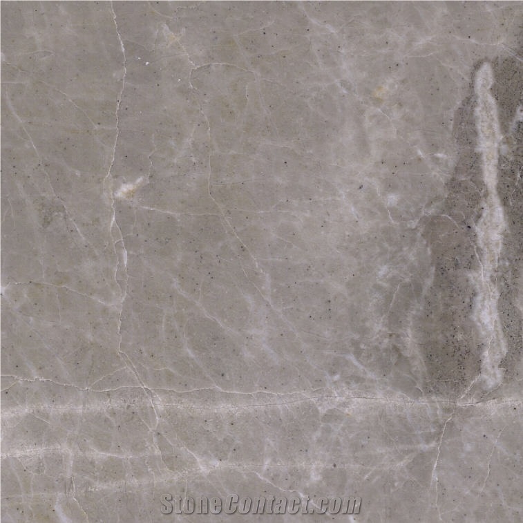 Sania Grey Marble Tile