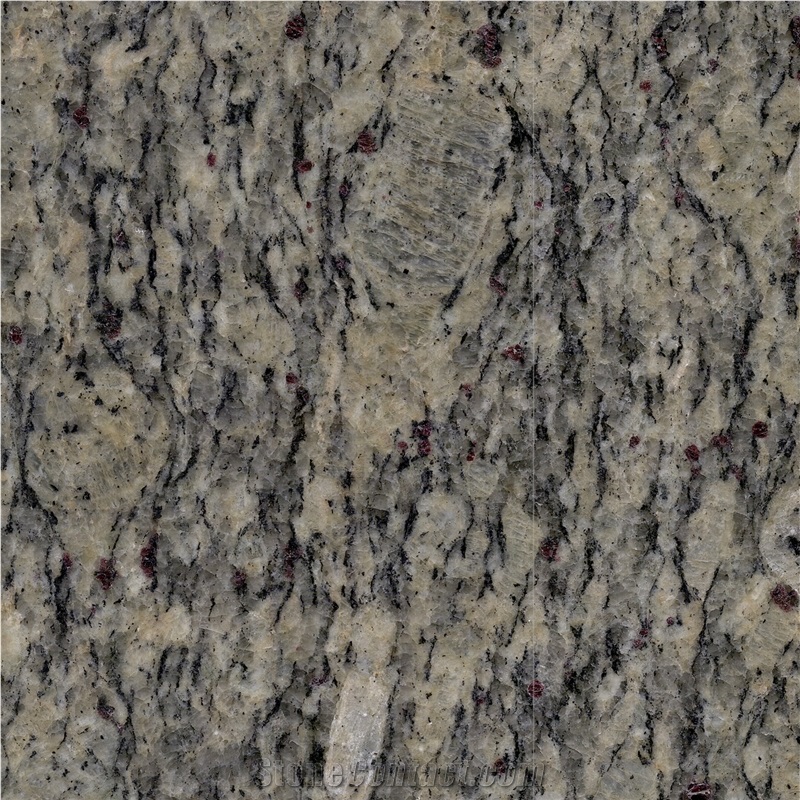 Santa Cecilia Light Granite importance=