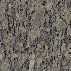 Santa Cecilia Light Granite