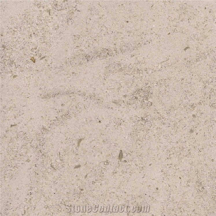 Santenoy Limestone importance=