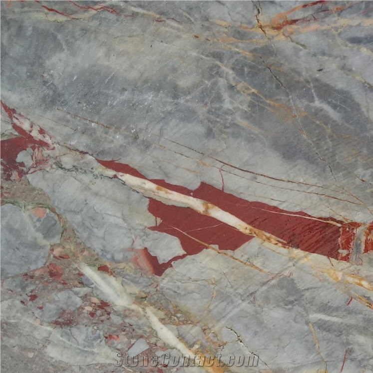 Sarrancolin Marble Tile