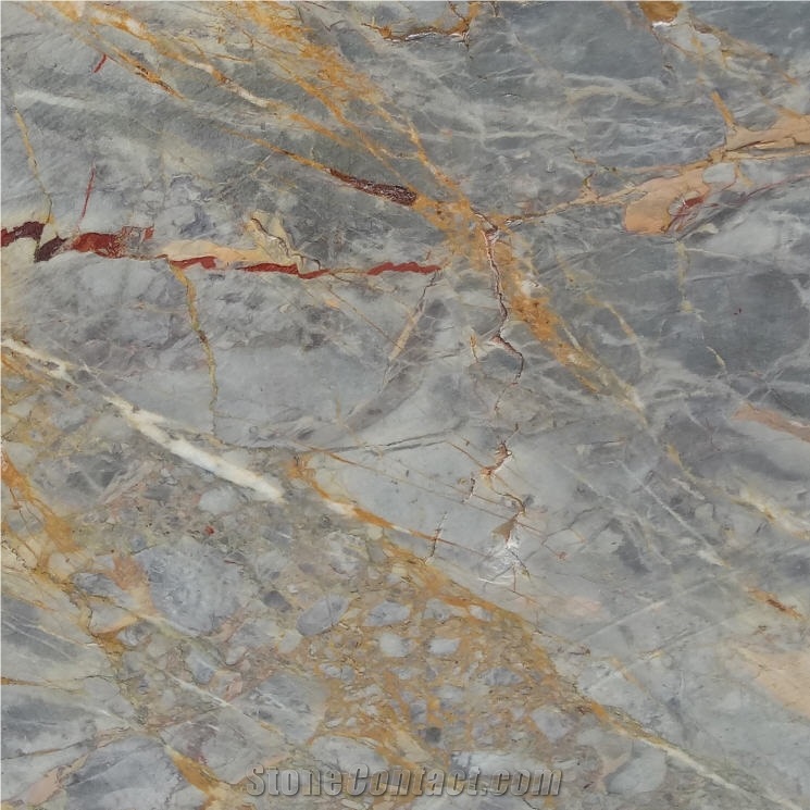 Sarrancolin Marble Tile