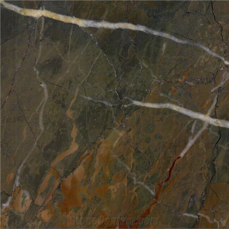 Sarrancolin Opera Fantastico Marble Tile