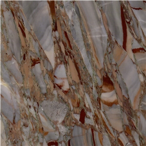 Sarrancolin Versailles Marble Tile