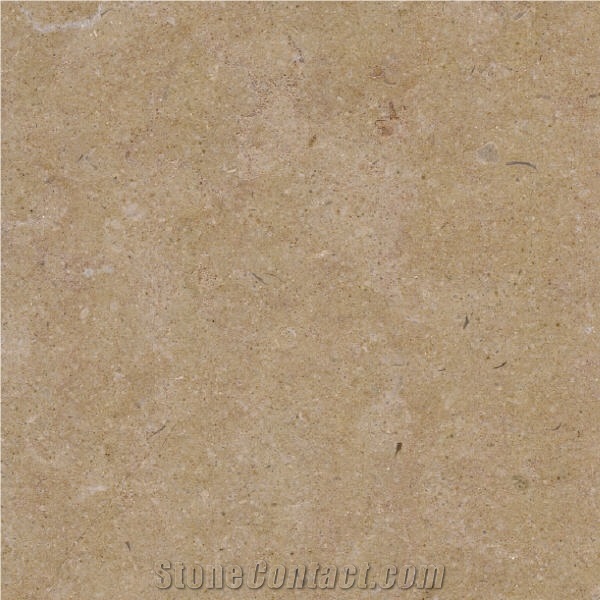 Savannah Sand importance=
