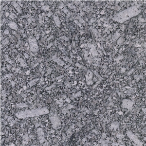 Sea Flower Granite
