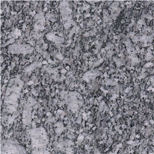 Sea Flower Granite Tile