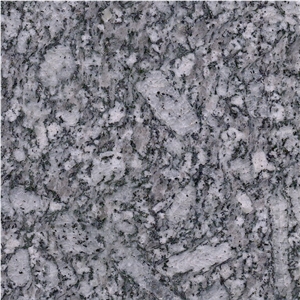 Sea Flower Granite Tile