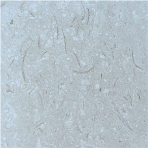Sea Shell Limestone