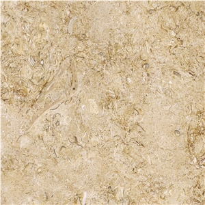 Seabed Gold Limestone Tile