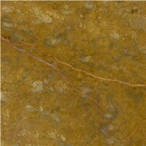 Seattle Gold Marble