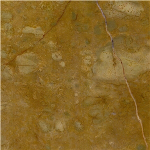 Seattle Gold Marble Tile