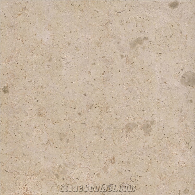 Selina Limestone importance=