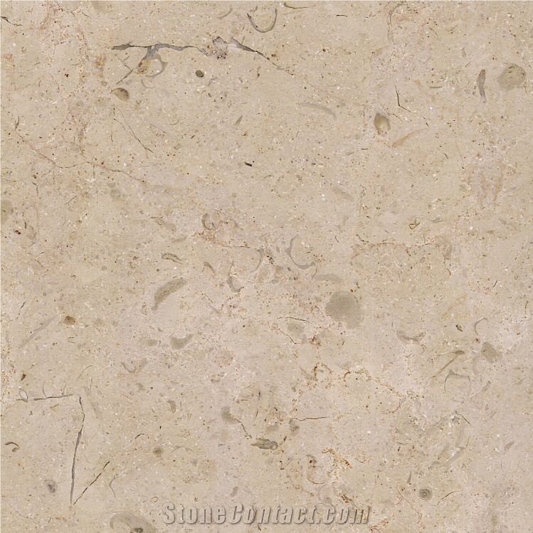 Selina Limestone Tile