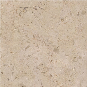Selina Limestone Tile