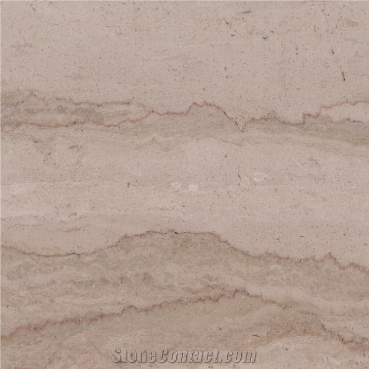 Serpeggiante Trani Marble Tile