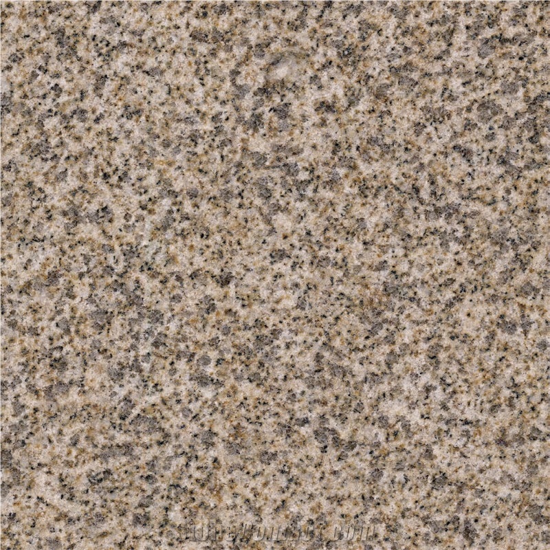 Sesame Gold importance=