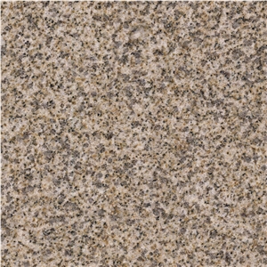 Sesame Gold